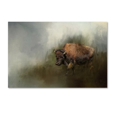Jai Johnson 'Bison After The Mud Bath' Canvas Art,30x47 -  TRADEMARK FINE ART, ALI14491-C3047GG